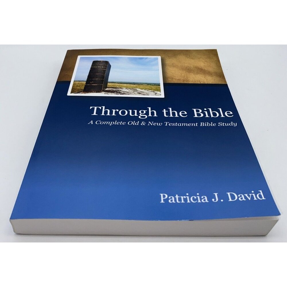 Through the Bible : A Complete Old & New Testament Bible Study Patricia J. David